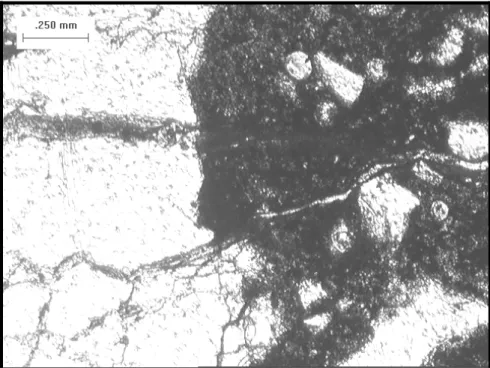 Figure 16.   Thin section of concrete showing partially filled crack extending from coarse aggregate particle  on left through paste