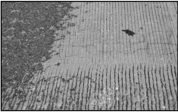 Figure 3. Route 701 Bridge deck surface. 
