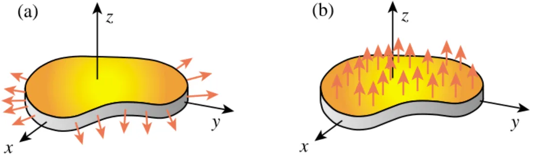 Figure 20.1. A flat plate structure in: (a) plane stress or membrane state, (b) bending state.