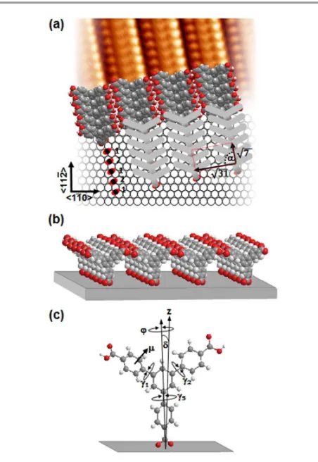 Fig. 6 Structural model of a self-assembled monolayer of H3BTB on UPD-Ag. (a) Top 