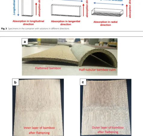 Fig. 3 Specimens in the container with solutions in different directions