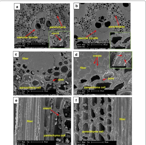 Fig. 5 Microstructure of bamboo culm and flattened bamboo (a cross section of bamboo culm, b cross section of flattened bamboo, c cross section of fiber and parenchyma cell in bamboo, d cross section of fiber and parenchyma cell in flattened bamboo, e radial section of bamboo, f radial section of flattened bamboo)