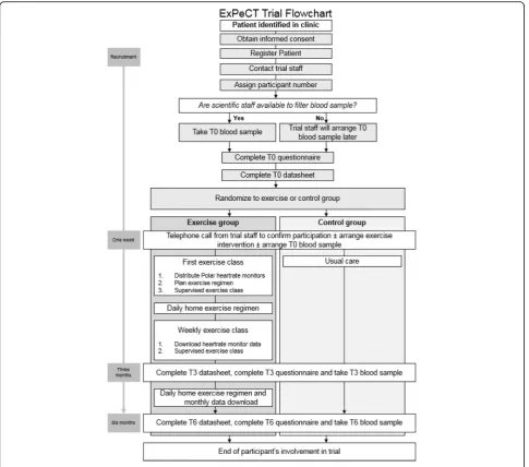 Fig. 2 ExPeCT trial flowsheet