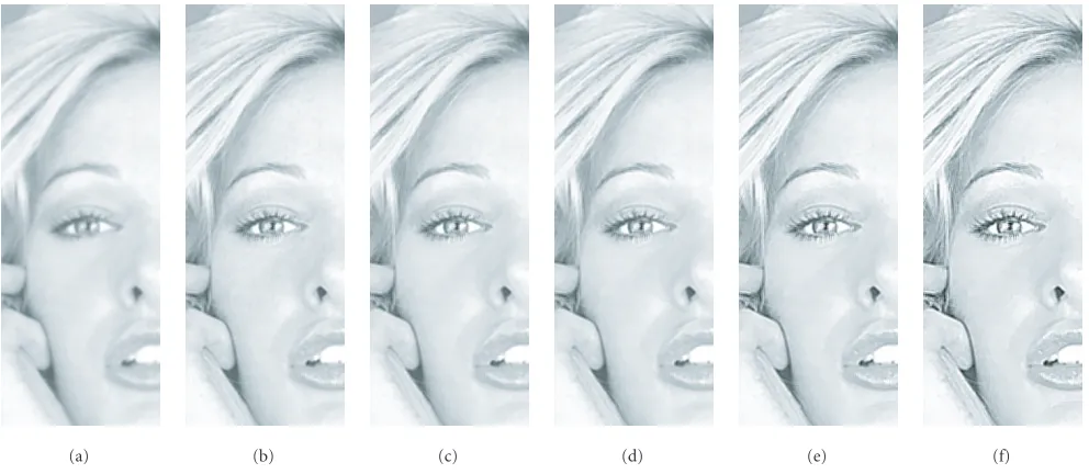 Figure 6: (a) Detail of original noise-free image, and results given by dikﬀerent parameter settings: (b) ksh = 5 and ksm = 0, (c) ksh = 5 andsm = 5, (d) ksh = 6 and ksm = 5, (e) ksh = 10 and ksm = 5, and (f) ksh = 15 and ksm = 5.