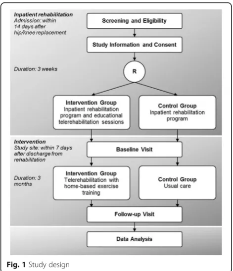 Fig. 1 Study design