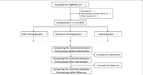 Fig. 1 Flow diagram of study design