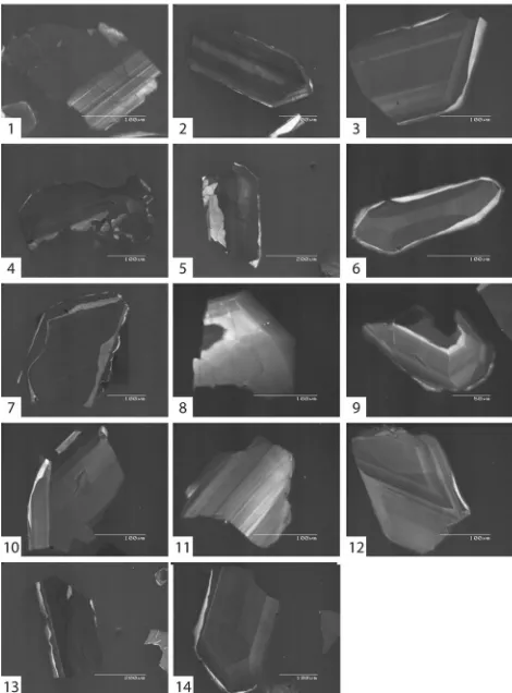 Figure 5. Cathodoluminescence (CL) and secondary electron (SE) images from selectedzircon grains in diorite sample BB7 [NK 05556 63394].