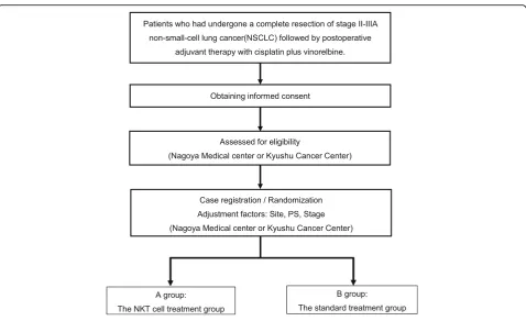 Fig. 1 Entire design of this trial