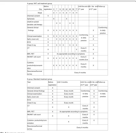 Fig. 2 Treatment schedule