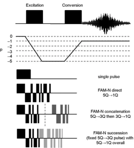 Fig. 2. Pulse sequence and coherence transfer pathway diagram for a 5Qﬁltered NMR experiment