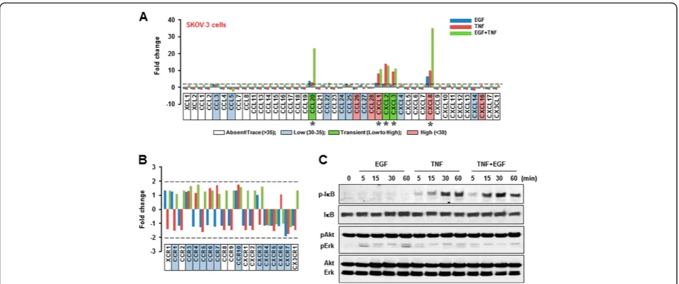 Figure 2 EGF- or TNF-responsive chemokine signatures in SKOV-3 cells. EGF- or TNF-responsive chemokines (A) and chemokine receptors(B) were determined by PCR array