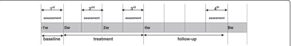 Figure 2 The total study period and the timepoint of evaluation.