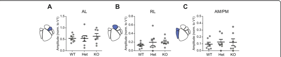 Fig. 4 Adult females show no changes in cortical activity modulation of dorsal HVAs. Scatter plots of cortical modulation of dorsal stream HVAsain females with population mean and SEM overlaid in black