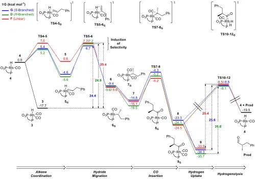 Figure 
  8: 
  Free 
  energy 
  profiles 
  of 
  the 
  major 
  (S)-­‐branched 
  (pathway 
  G, 
  blue), 
  minor 
  (R)-­‐branched 
  (pathway 
  D, 
  green), 
  and 
  linear 
  (pathway 
  F, 
  red) 
  reaction 
  pathways