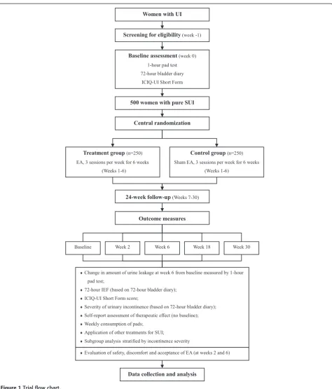 Figure 1 Trial flow chart.