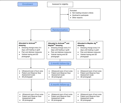 Figure 1 Data collection flowchart. The chronological timing and order of data collection within the burn wound care procedure framework.