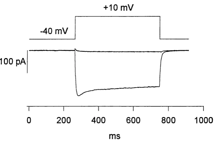 Figure 3.3+10 mV