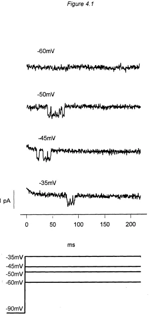Figure 4.1