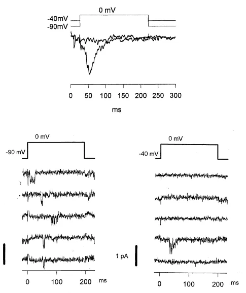 Figure 4.2