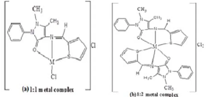 Fig. 6:The proposed structure of (a) Mn(II) and Co(II) complexes; (b) Ni(II), Cu(II), and Zn(II) complexes