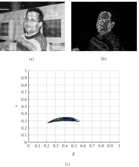 Figure 4: Skin recognition examples on Bayer pattern image: (a)histogram (original image in Bayer data; (b) recognized skin with probabilis-tic approach; and (c) threshold skin values on r − g bidirectionalskin locus).