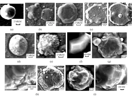 Figure 6. Stages of nanostructuring of TiN films with main hexagonal TiN0.3 phase by arc spraying method (~ 660 K, 30% N2,Vfilm heating = 12.0 K / min)