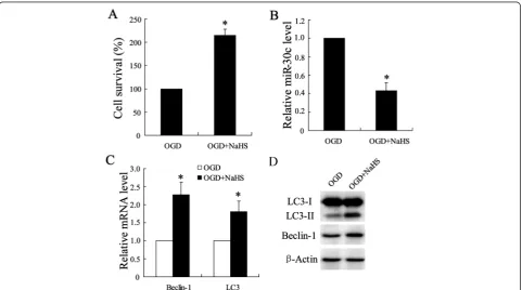 Fig. 3 Effect of HI/II protein were determined by using western blot assay. All values are expressed as the mean ± SD.of miR-30 profiles,2S on OGD-induced ischemic injury in SY-SH-5Y cell line