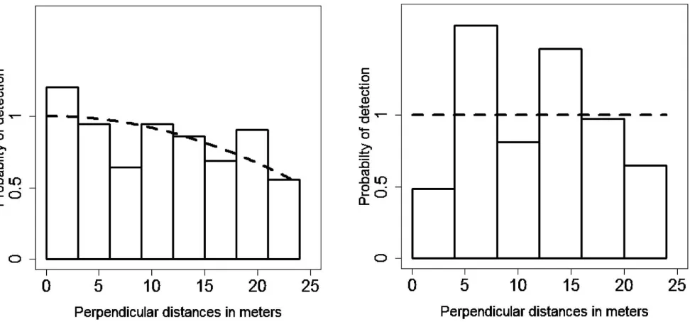 Figure 2. Chosen detection functions in two alternative analyses of a line transect distance sampling survey of gopher tortoiseburrows; in the right plot, it is of(Gopherus polyphemus) at Fort Gordon Army Installation, Georgia during 2010 and 2011