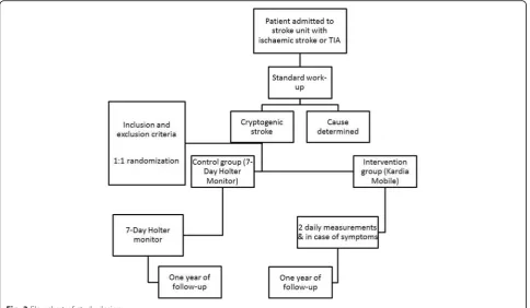 Fig. 3 Flowchart of study design