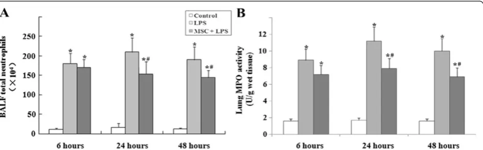 Figure 5 (A) BALF neutrophil counts and (B) lung MPO activity. Neutrophil counts and lung tissue MPO activity were significantly higher inthe LPS group compared to the control group