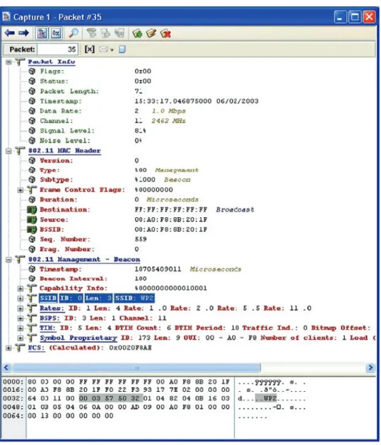 Figure 7. Partial Example of a detailed OmniPeek packet decode.
