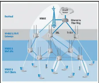 Figure 4 Wi-Fi – WiMAX Fully Integrated  Architecture 