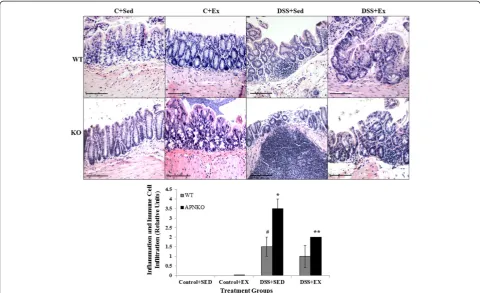 Figure 3 Effect of exercise training on intestinal IL-6 production within transverse colon tissue