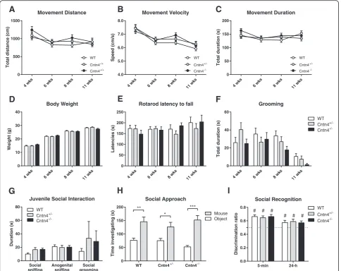 Fig. 1 Developmental neurological and behavioral screen and analysis of social behaviors in(rmANOVA genotype, Cntn4-deficient mice