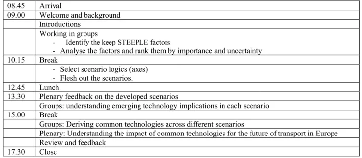 Table 1 – Workshop agenda 