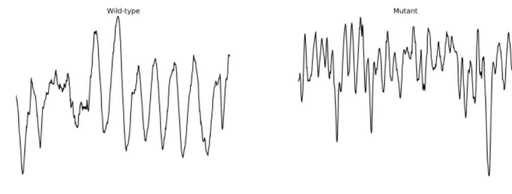 Figure 4.11: Left: a time series representing the movement of a wild-type worm.