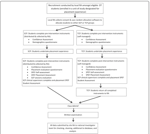Fig. 1 Flow diagram of the RCT of simulated clinical placement (SCP) versus traditional clinical placement (TCP) programs