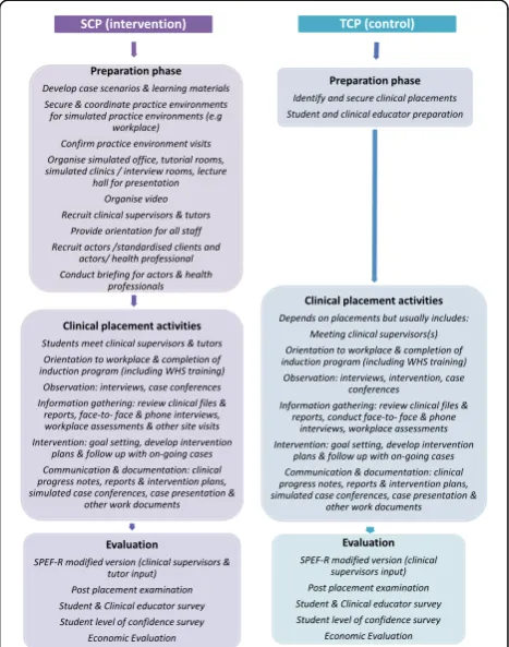 Fig. 3 Comparison between the SCP and TCP intervention pathways
