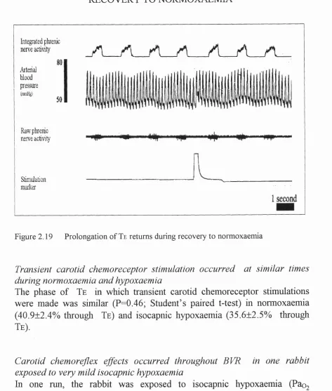 Figure 2.19 