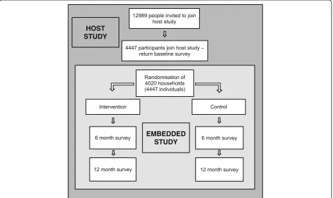 Fig. 1 Flow chart of participants in the host study and embedded study