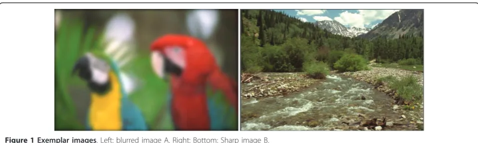 Figure 1 Exemplar images. Left: blurred image A. Right: Bottom: Sharp image B.