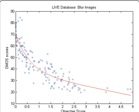 Figure 10 Sample images from the real blur database. Top left: Out-of-focus image. Top right: Simple motion blur