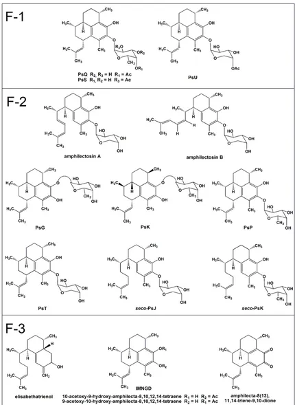Figure 1Chemical structures of compounds isolated from P. elisabethaeChemical structures of compounds isolated from P