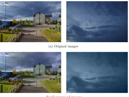 Figure 1.1: Two ordinary photographs resized to 600×400 pixels (a)and then compressed into WebP format with the same minimumpossible quality (b)