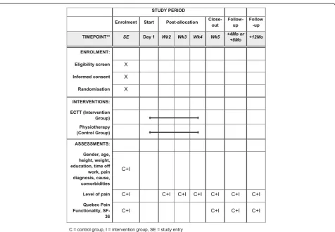 Fig. 1 SPIRIT flow diagram of the Esoteric Connective Tissue Therapy for chronic low back pain study