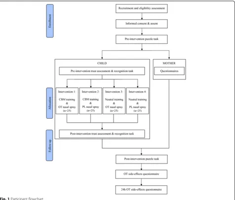 Fig. 1 Participant flowchart