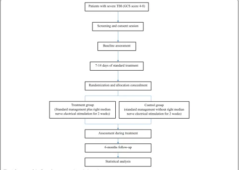 Fig. 1 Overview of the flow of participants through the trial