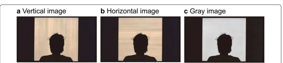 Fig. 2 Diagram of the experimental protocol. Horizontal and vertical wooden-wall images and gray image (control) were presented in a random order to each participant to eliminate any potential viewing order effects