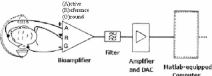 Fig. 1. Acquisition set-up used in our study. 