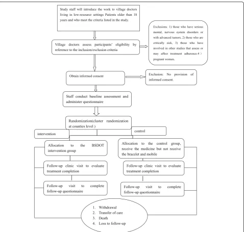 Fig. 3 Flow of participants through the bracelet- and self-directed observational therapy (BSDOT) study